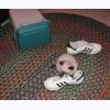 w2974MG almost to big to fit in Margarets shoes.jpg 286.6K